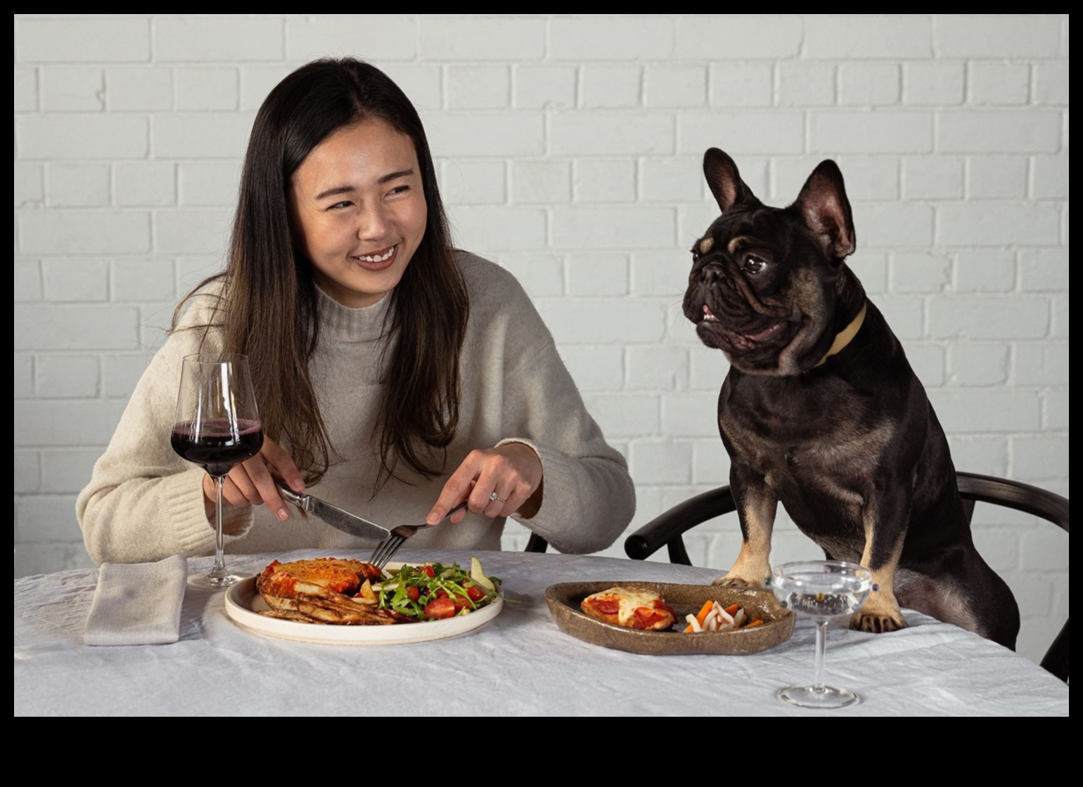 Köpek Yemekhanesi: Köpek Dostu Bir Yemek Deneyimi Yaratmak